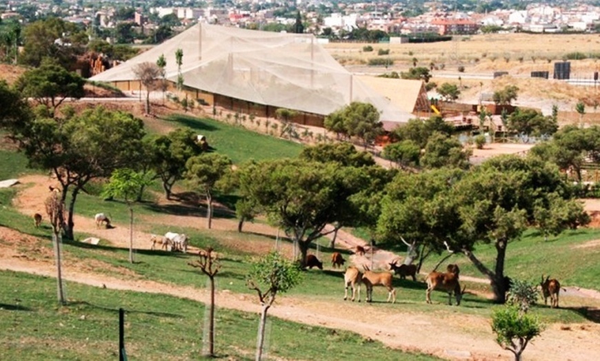 Image 23: Entrada de un día para niño o adulto en Terra Natura Murcia