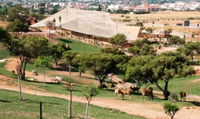Entrada de un día para niño o adulto en Terra Natura Murcia