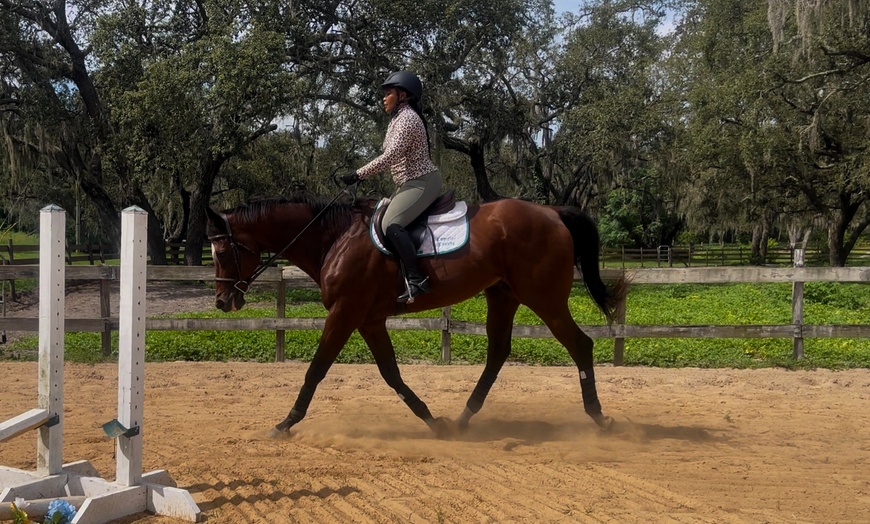 Image 3: Up to 20% Off on Horse Back Riding at Crosspoint Equestrian