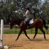 Image 2: Up to 20% Off on Horse Back Riding at Crosspoint Equestrian