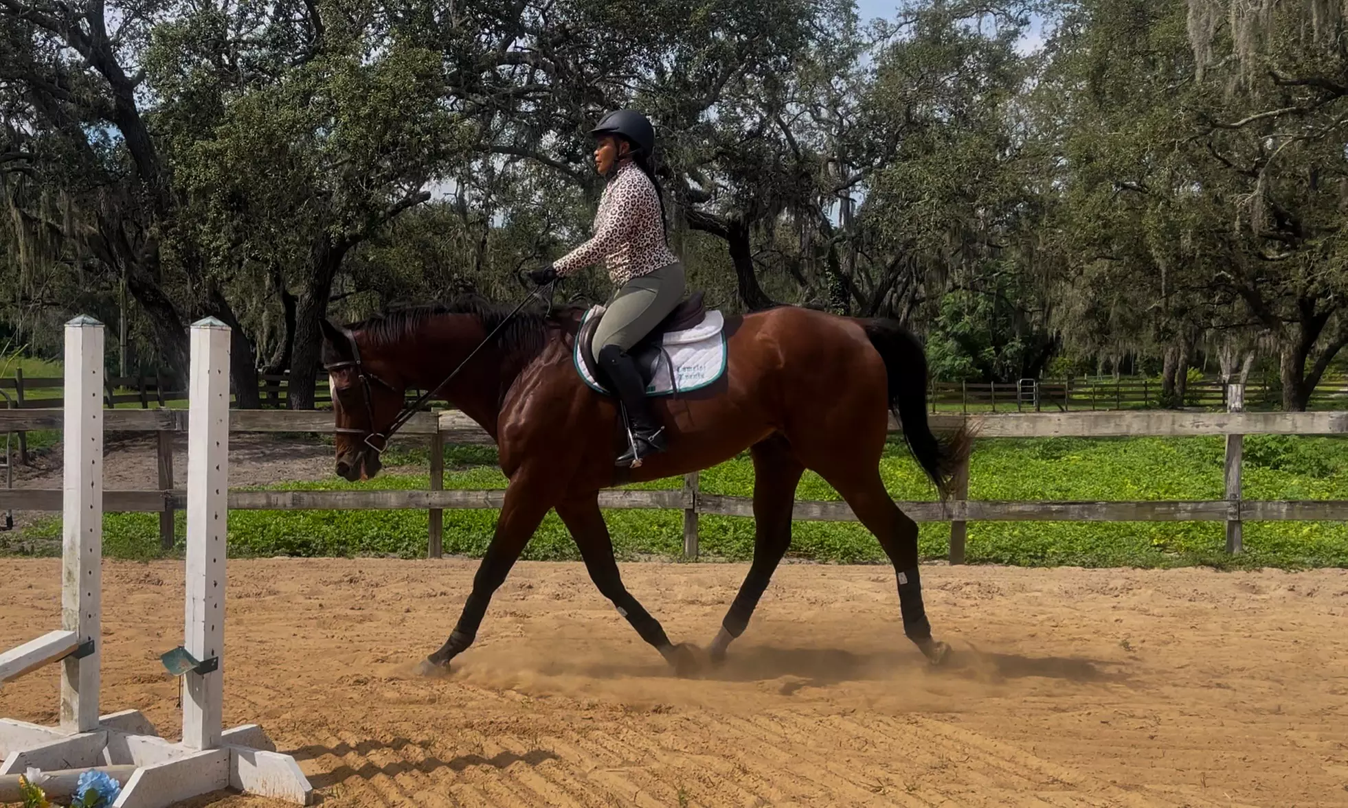 Up to 28% Off on Horse Back Riding at Crosspoint Equestrian
