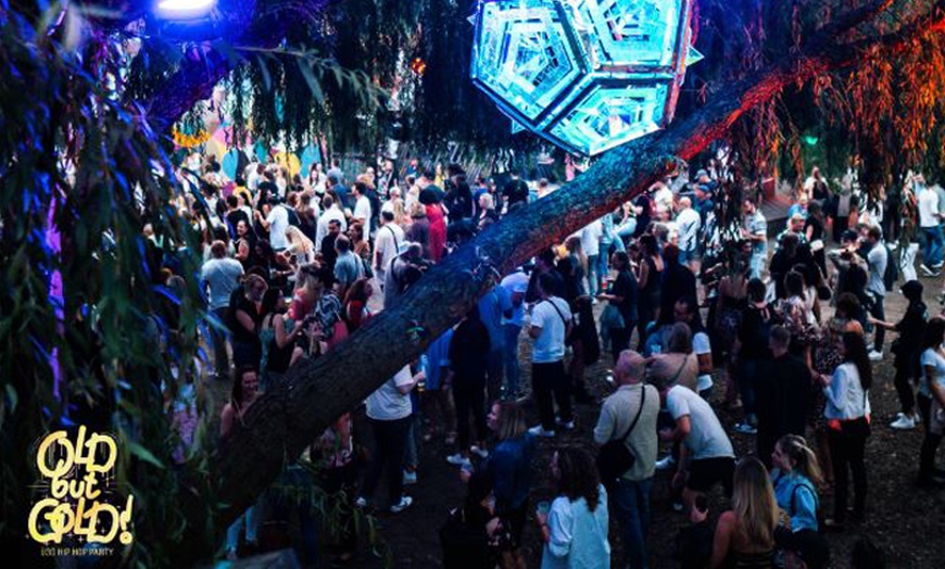 Image 15: Ticket für das "Old but Gold Festival" in München, Frankfurt & Hamburg