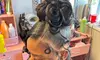 Upgrade Your Style: Shampoo, Conditioning Treatment, Trim with Style or Silk Press ( Up to 30% Off )