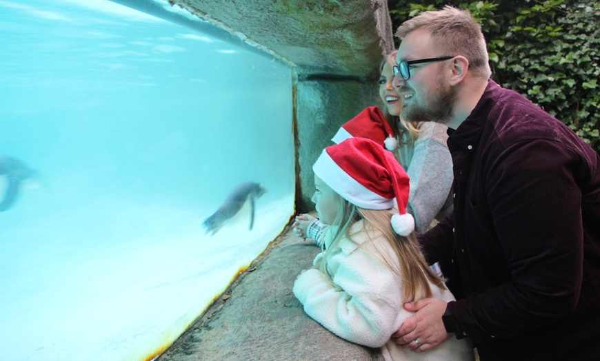 Image 22: General Admission to Belfast Zoo For Child, Adult, or Family 