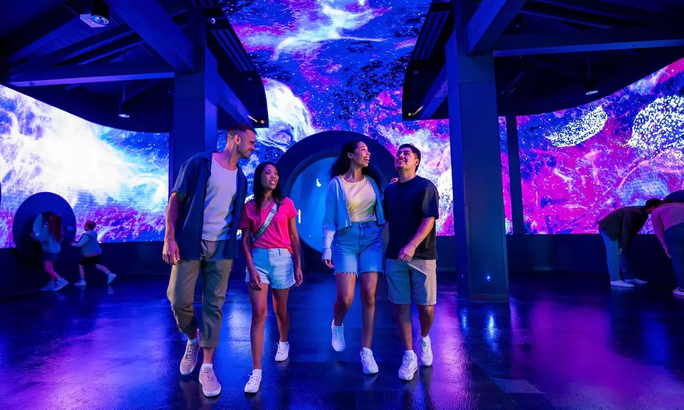 Summer Sale! SeaWorld Tickets, Fun Cards & More! 67% Off