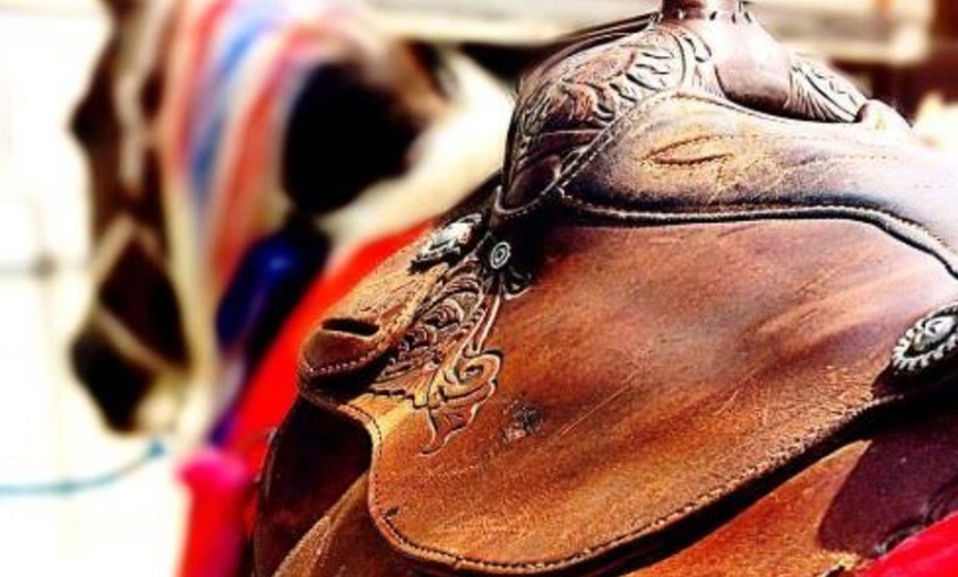 Image 3: Up to 27% Off on Horse Back Riding - Training at Cobb Creek Riding Academy