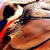 Image 3: Up to 27% Off on Horse Back Riding - Training at Cobb Creek Riding Academy