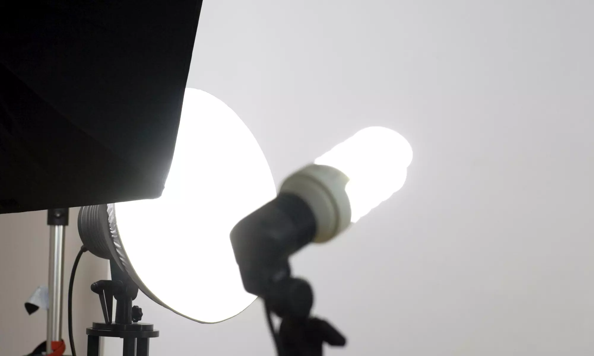 120-Minute Studio Photo Shoot with Wardrobe Changes and Digital Images from World Wide Xclusive (75% Off) - Primary Image