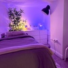 Image 4:  Unwind with One 30, 60 or 90 Minute Massage
