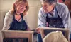 $20 Worth of Painting Classes and Events
