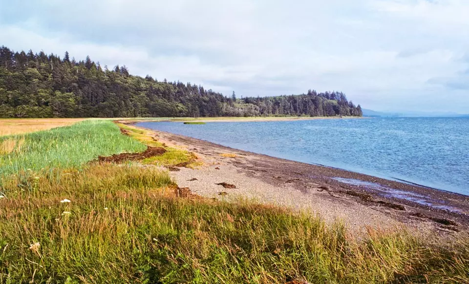 1- or 2-Night Stay with Pizza, Beer, and Cookies at Adrift Hotel and Spa in Long Beach, WA - Primary Image