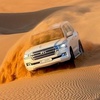 Image 1: Dive into Adventure: VIP Seating, 45-Min Dune Bashing & Falcon Photo