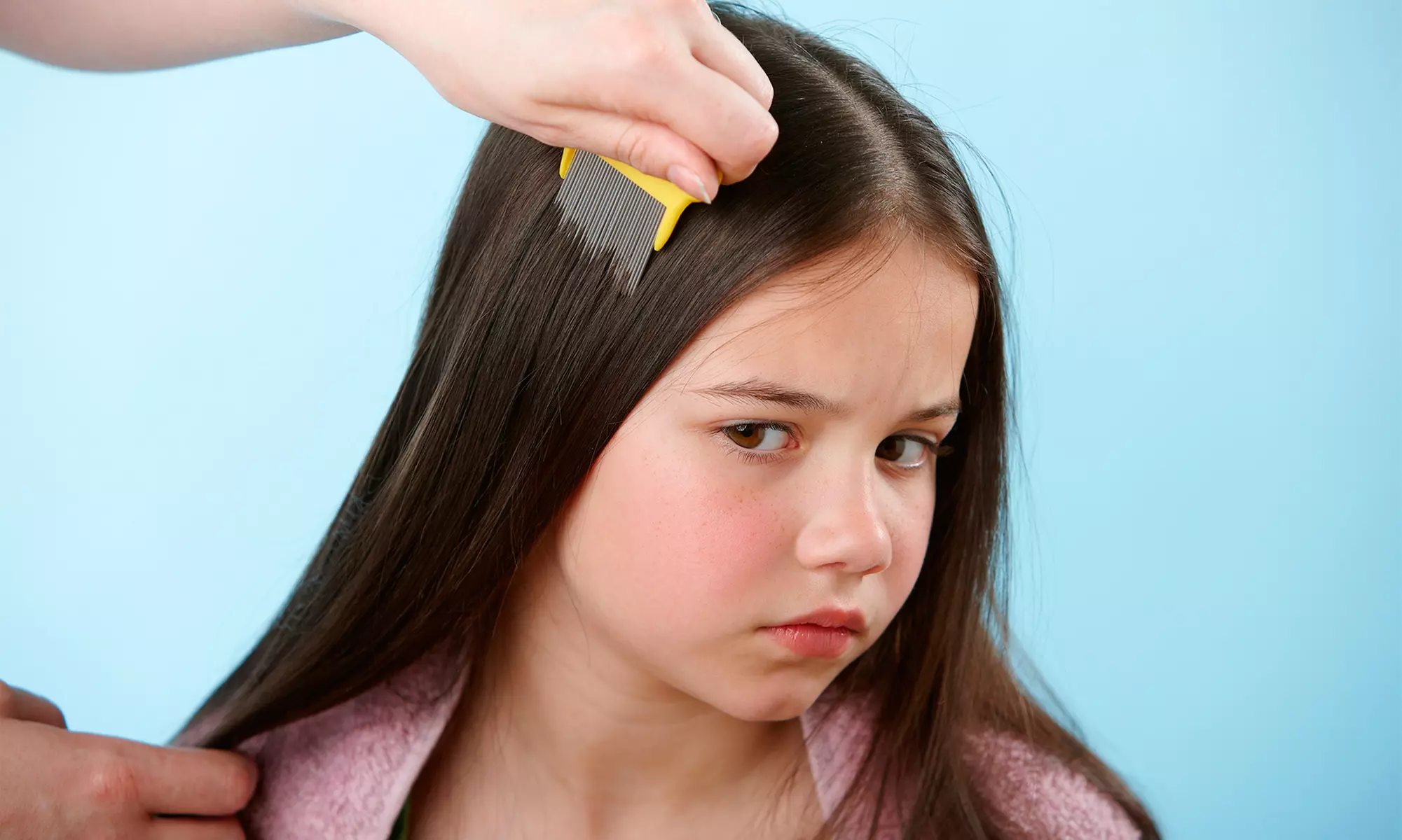 Lice Removal (Short to Long Hair) & Screening with Follow-Up at Nurtutred Noggins Lice Removal Up To  40% Off - Primary Image