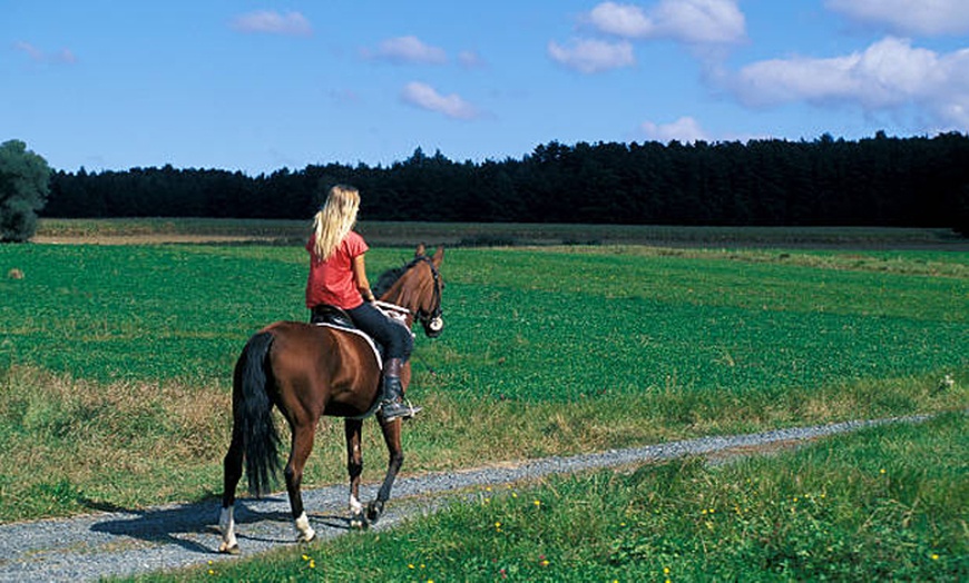 Image 2: Ruta a caballo de 90 minutos para 2 o 4 personas