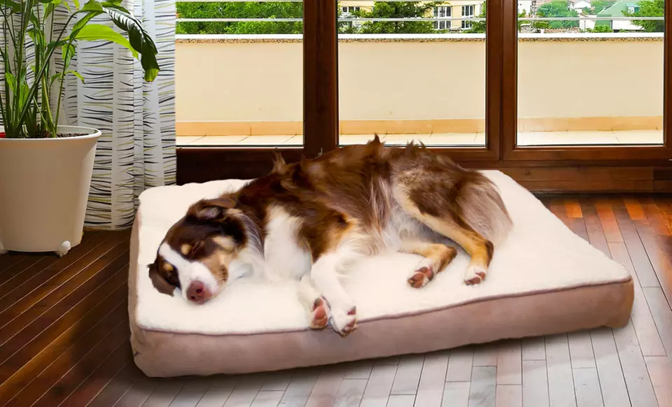Memory Foam Dog Mattresses with Faux-Sheepskin Top. Multiple Colors and Sizes from $24.99–$44.99. Free Returns. - Primary Image