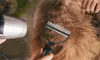 Dog Brush for Shedding Dematting Pet Grooming Cat Hair Undercoat