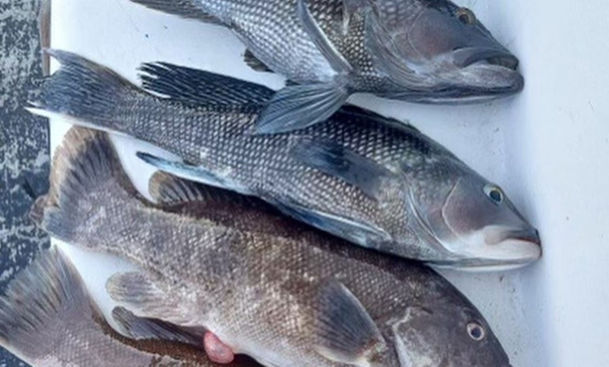 Image 2: Join Midnight Fleet for a Night Sea Fishing Experience