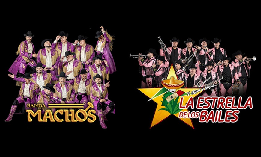 Image 1: Banda Machos - Up to 0% Off 