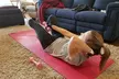 Boost Your Fitness with Mobile Personal Trainer or Achieve Goals with Tailored Strength Training (Up to 50% Off) - Second Medium
