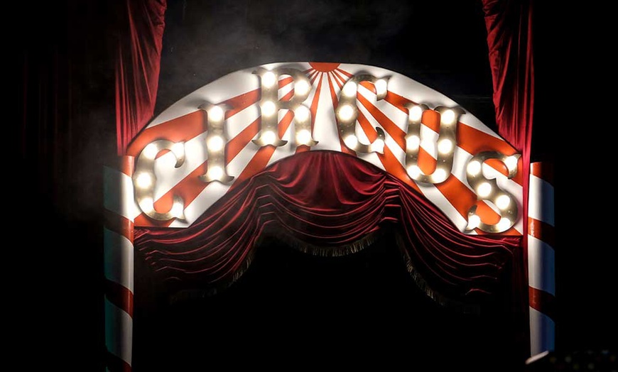 Image 2: Entrada oro o plata para niño o adulto al espectáculo "Viva el circo"