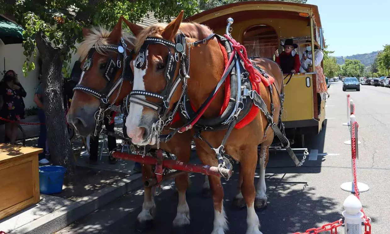Uncover History: Trolley Tour upto 5 People in Saint Ynez Valley 