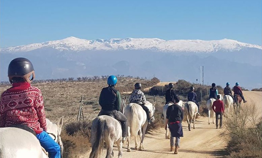 Image 2: Paseo a caballo de 1 hora para 2 o 4 por paraje natural de Granada