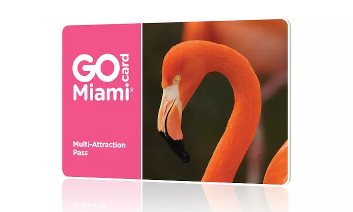 Two-Day All-Inclusive Go Miami Card Including Free Admission to 30+ Popular Miami Attractions - Primary Image