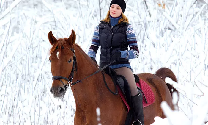 Horseback Trail Riding for Two or Four from GoldenEar (Up to 44% Off) - Primary Image