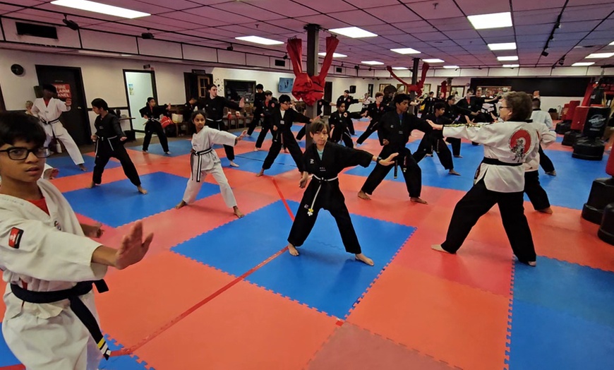 Image 7: 1 or 2 Months of Korean Martial Arts with Uniform Options
