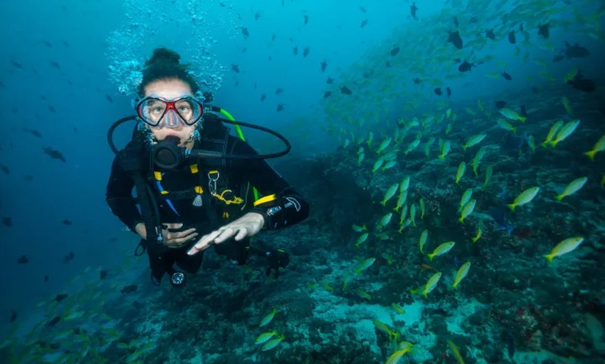 Image 2: Up to 54% Off Scuba-Diving Tour for Beginners for 1, 2 or 4 