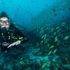 Image 2: Up to 54% Off Scuba-Diving Tour for Beginners for 1, 2 or 4 