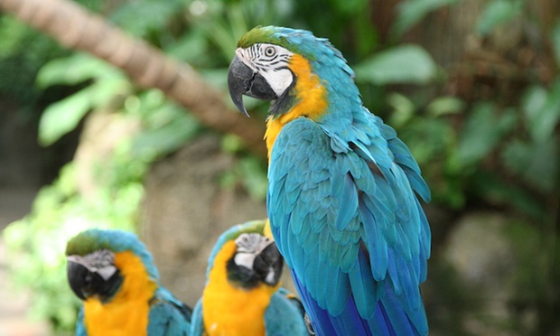 What to expect media