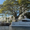 Image 7: Fort Lauderdale Story: Architecture, Secrets & Scenic Riverwalk Tour