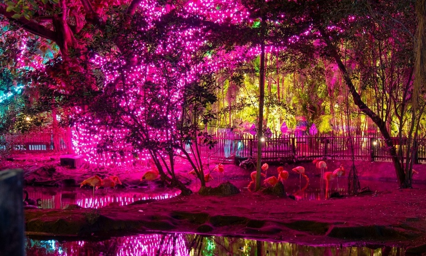 Image 3: Zoo Lights: A Dazzling Holiday Experience 

