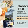 Image 2: Ticket for One or Two to Sussex Gin Festival – 5 July 2025, 12 - 9 PM