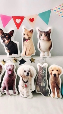 CanvasOnSale Metal Print Example