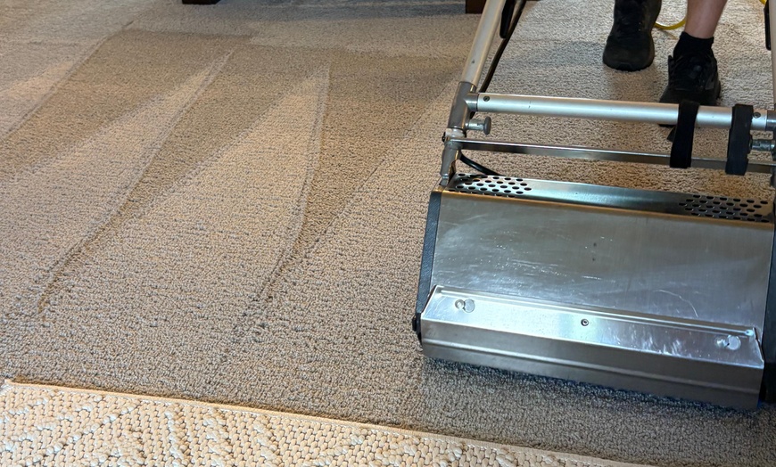Image 6: Kid and pet friendly carpet cleaning @ Clean & Green Carpet Cleaning