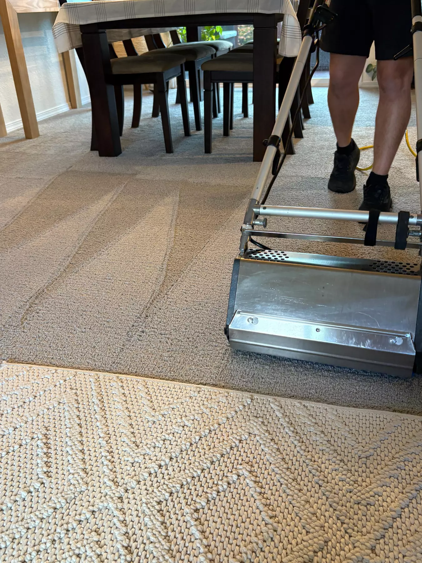 Upto 65% Off on CarpetCleaning @ Clean & Green Carpet Cleaning