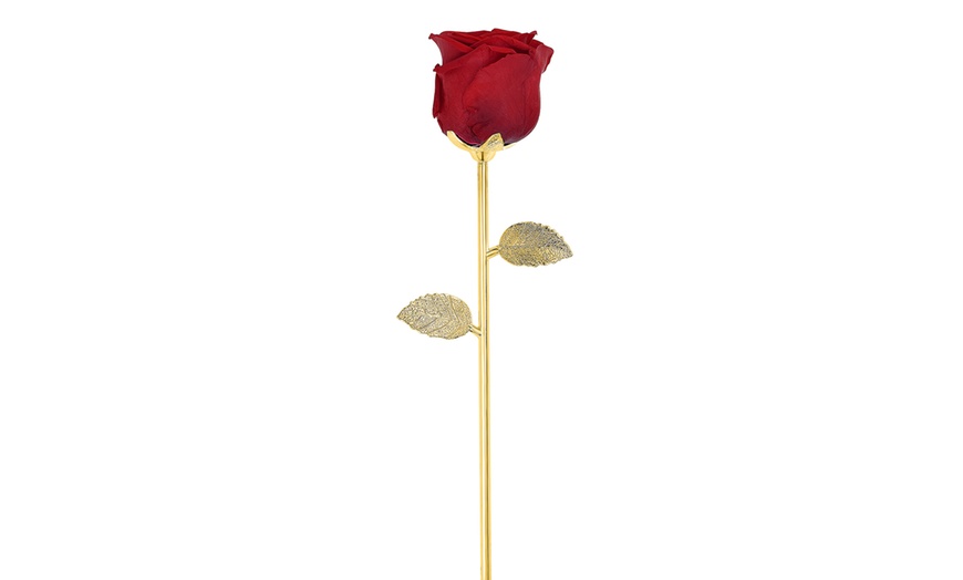 Image 3: Rosa eterna