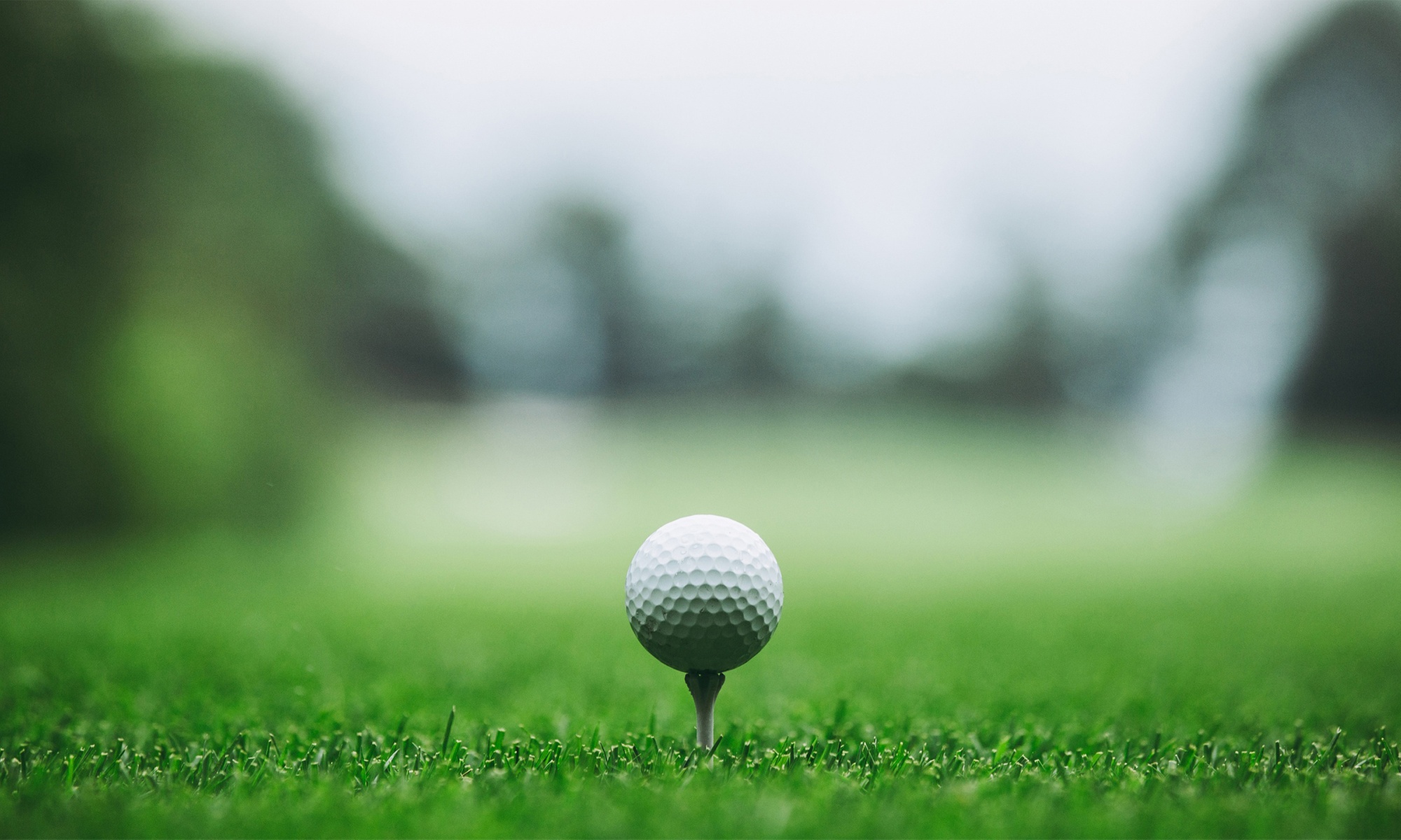 Improve Your Swing with Holiday GEARS 3D Motion Capture