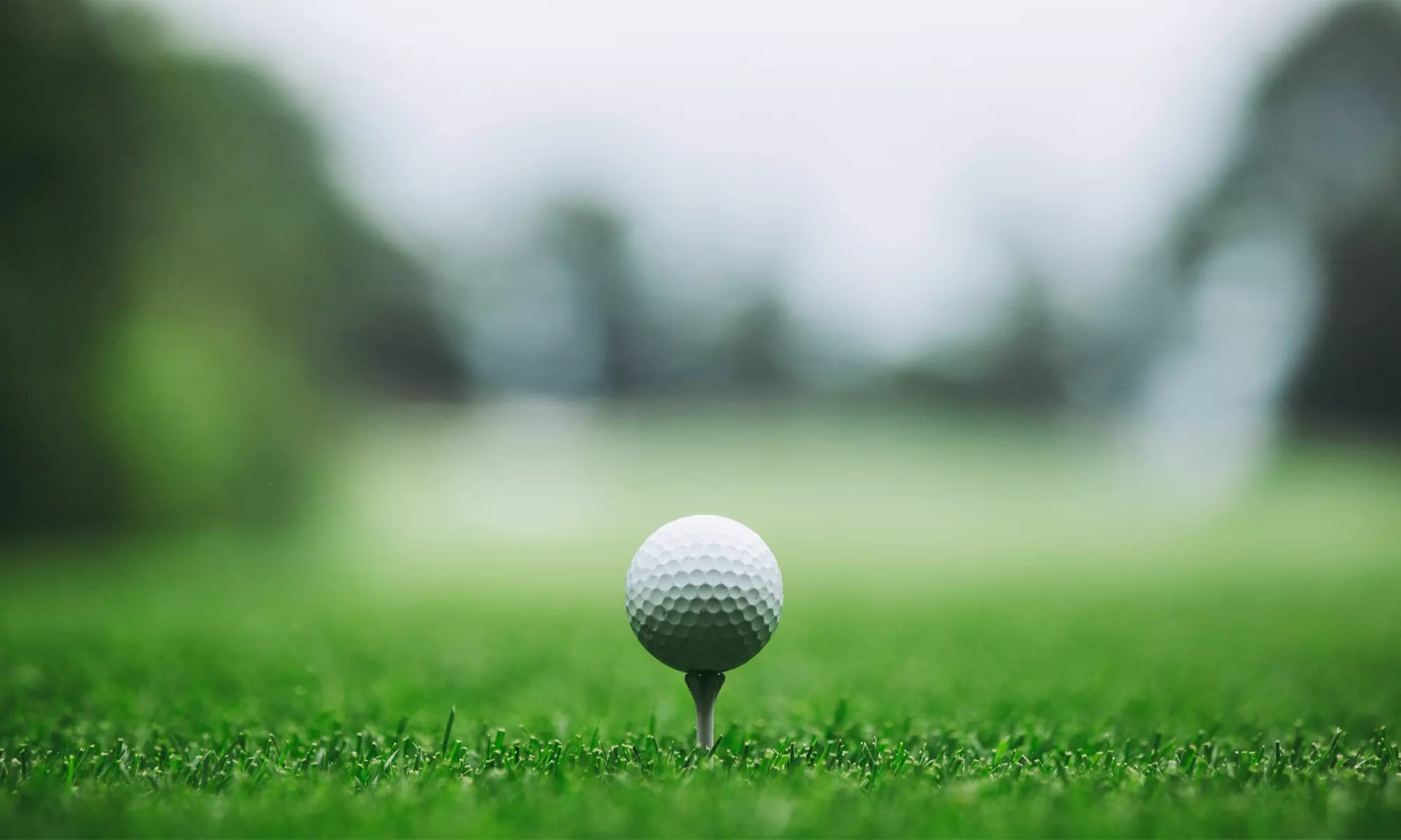 Discover Precision with GEARS 3D Swing Snapshot Session at Audens Golf Performance (Up To 50% Off)