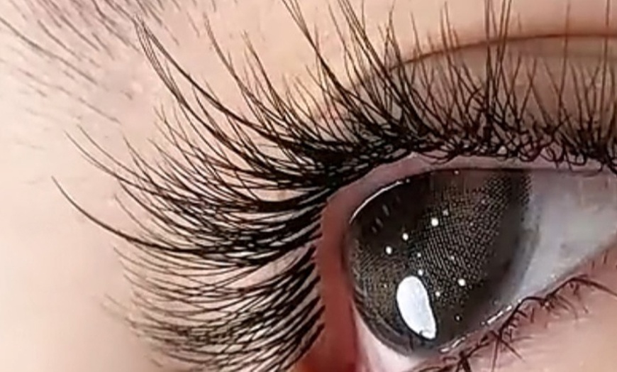 Image 2: Classic or Double Thick Eyelash Extensions 