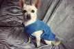 Pet Winter Warm Pullover Fleece Dog Jacket Sweaters Coat - Second Medium