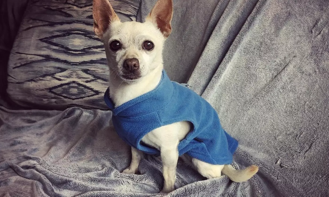 Pet Winter Warm Pullover Fleece Dog Jacket Sweaters Coat