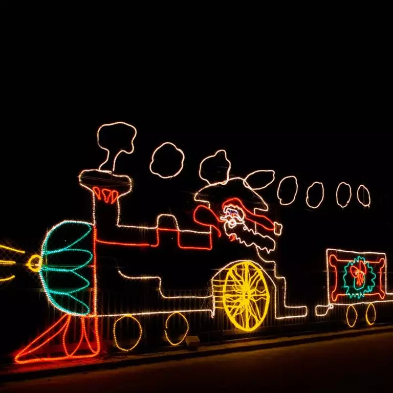 Festival of Lights Tour w/ Live Narration, Certified Guides & Santa