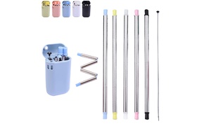 One or Two Foldable Drinking Straws with Carrying Case