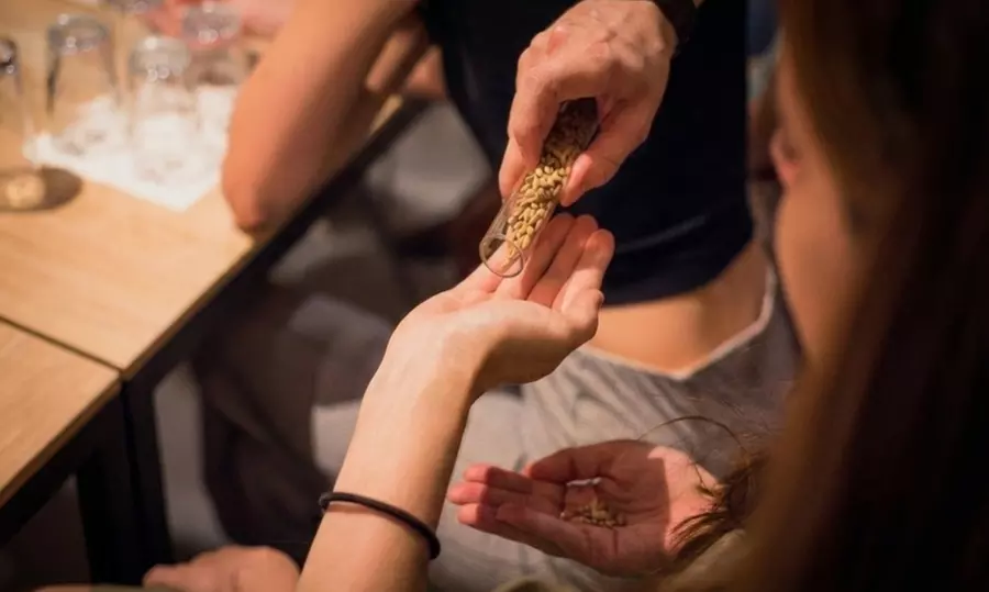 Cata de 4 cervezas artesanas españolas y 4 quesos europeos