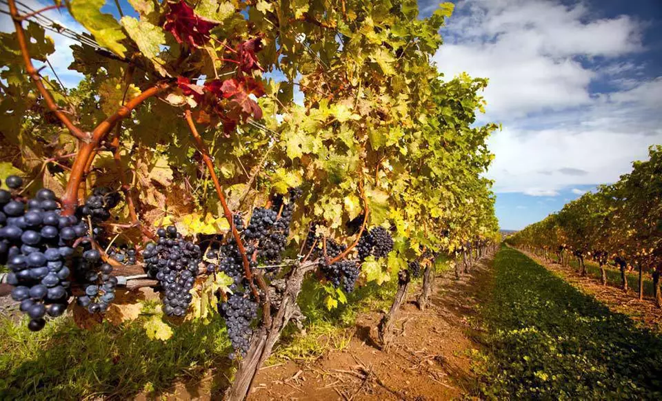 One- or Two-Night Stay with Wine Tasting and Dining and Spa Credit at White Oaks Resort & Spa in Niagara-on-the-Lake, ON - Primary Image
