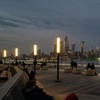 Image 2: New York City and Washington DC Day Tours Packages
