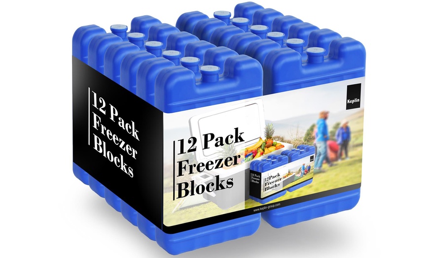 Image 4: Freezer Blocks